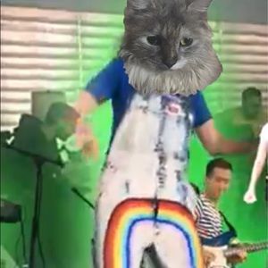 Meet your Posher, Shawn